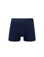 Pánské boxerky Roots Blue