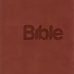 Bible 21
