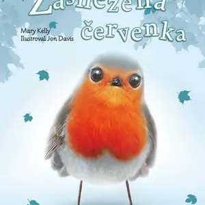 Příběhy se šťastným koncem Zasněžená červenka
