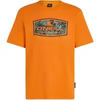 O'Neill GRAPHIC Pánské tričko, oranžová, velikost