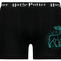 Pánské boxerky Harry Potter - Frogies