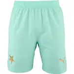 Puma SKS Shorts Promo Pánske futbalové šortky, tyrkysová, veľkosť