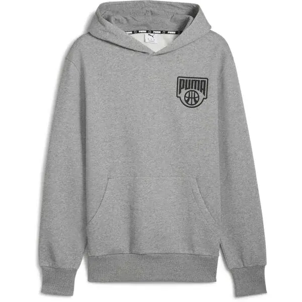 Puma POSTERIZE HOODIE Pánska mikina, sivá, veľkosť