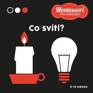 Kontrastní leporelo: Co svítí? (poškozená)