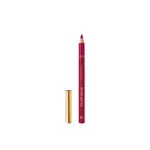 L'Oréal Paris Konturovací tužka Color Riche (Le Lip Crayon) 1,2 g 2010 LaPrune