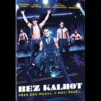 Různí interpreti – Bez kalhot DVD