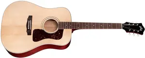 Guild D40E Standard NAT