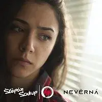 Štěpán Soukup – Nevěrná