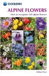 Alpine Flowers - Gillian Price