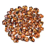 Leopard Print Transparent Acrylic Beads
