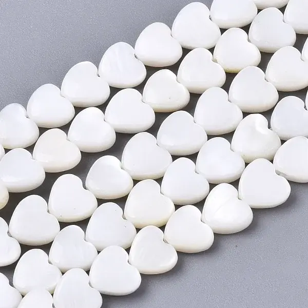 Natural Freshwater Shell Beads Strands