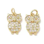 Brass Micro Pave Clear Cubic Zirconia Charms