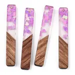Transparent Resin & Walnut Wood Big Pendants