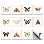 Waterproof PVC Tile Stickers