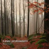 Michal Frank – Lesní probouzení