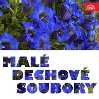 Různí interpreti – Malé dechové soubory