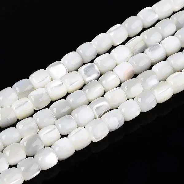 Natural Trochid Shell/Trochus Shell Beads Strands