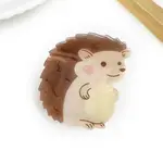 Acrylic Claw Hair Clips