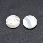 Shell Cabochons