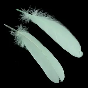 Goose Feather Costume Accessories