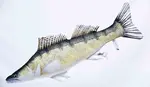 Gaby polštář Candát obecný 75cm