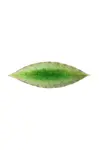 Costa Nova Sada tanierov Costa Nova Riviera Laurel 18 cm 6-pak
