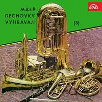 Různí interpreti – Malé dechovky vyhrávají (3)