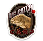4anglersdesign samolepka 11 big catch carp fishing
