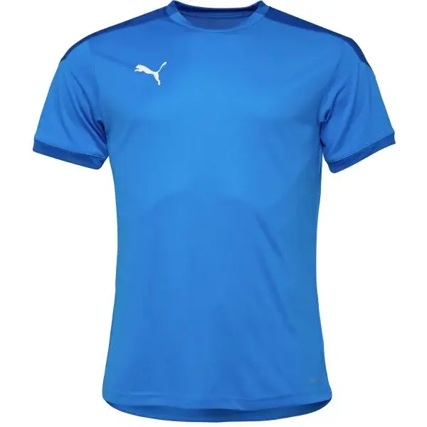 Puma TEAM FINAL 21 TRAINING JERSEY TEE Pánské triko, modrá, velikost