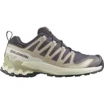 Salomon XA PRO 3D V9 GTX W Dámská obuv na trailový běh, béžová, velikost 42