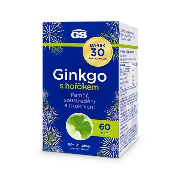 GS Ginkgo 60 mg s hořčíkem 90+30 tablet NAVÍC