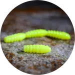 Redbass gumová nástraha trout grub signal yellow uv color - 3x33 mm