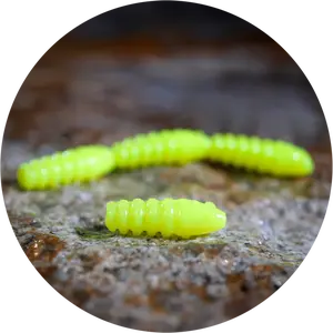 Redbass gumová nástraha trout grub signal yellow uv color - 3x33 mm