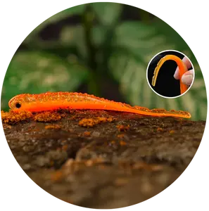 Redbass smáček big snake orange g uv color - 20 cm 24,5 g