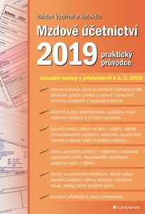Mzdové účetnictví 2019 - Václav Vybíhal