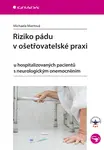Riziko pádu v ošetřovatelské praxi - Michaela Miertová - e-kniha