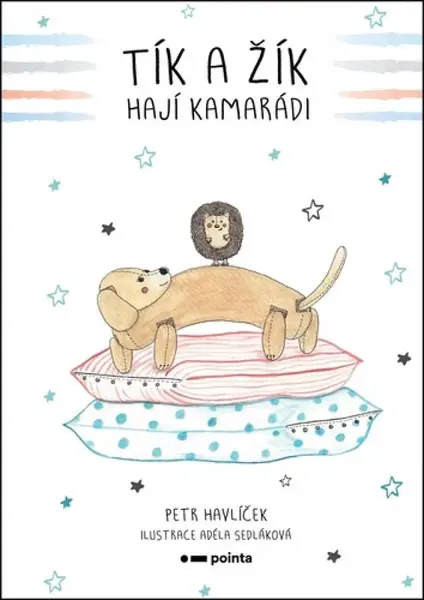 Tík a Žík, hají kamarádi - Petr Havlíček