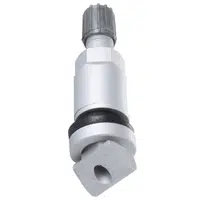 Ventil TPMS gumový - Ferdus 113.01 Varianta: TPMS 5. hliníkový