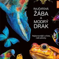 Rajčatová žába a modrý drak - Andrea Köhrsenová