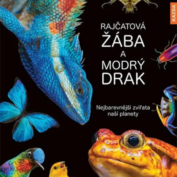 Rajčatová žába a modrý drak - Andrea Köhrsenová