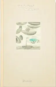 Moře láska má - Vítězslav Nezval