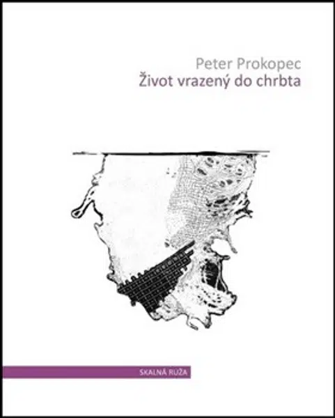 Život vrazený do chrbta - Peter Prokopec
