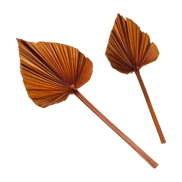 Výzdoba Boltze Areca 2-pack oranžová barva
