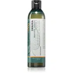 Elgon Green Imagea Absolute Shampoo rozjasňujúci a posilňujúci šampón pre farbené vlasy 250 ml