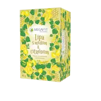 MEGAFYT Lipa s medom & citrónom vrecúčka 20 x 2 g