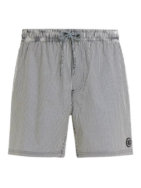 Men's beach shorts Protest PRTMANAMA