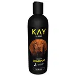 Šampon KAY s tea tree olejem 250ml