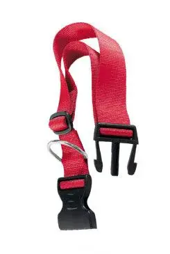 Obojek nylon Club C 70cmx25mm červený Fp