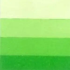 Grafická barva Charbonnel 200ml – spring green