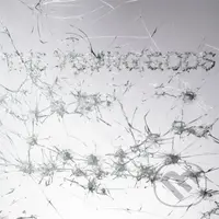 Young Gods:  Appear Disappear LP (2 LP) - Young Gods